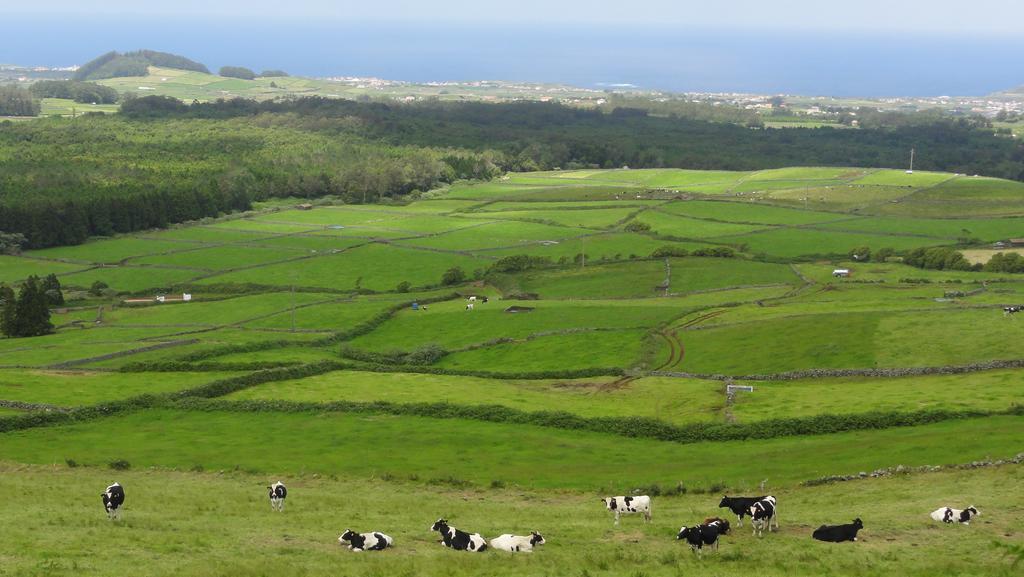 Quinta Do Chico Feijao Villa Lajes Bilik gambar